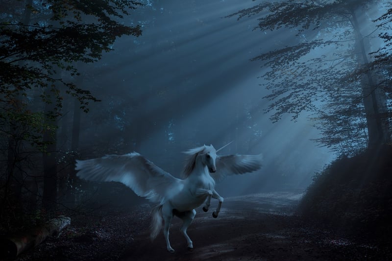Unicorn Garden